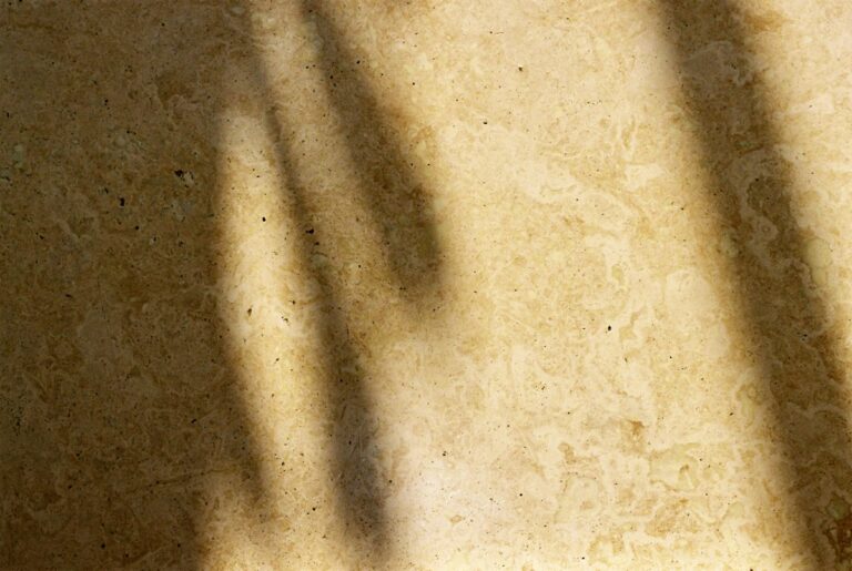 Superficie de piedra arenisca con sombras de hojas